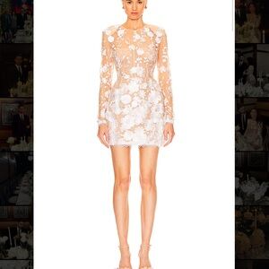 Elegant Floral Sheer Dress